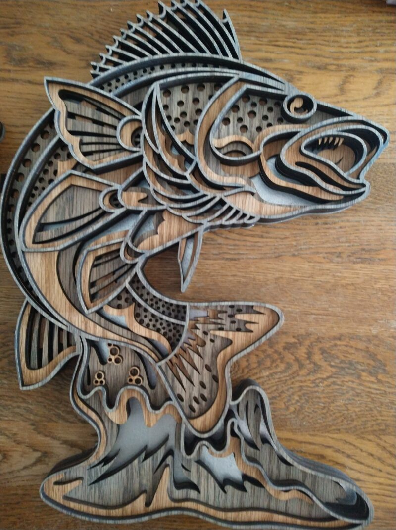 Fish out of Water